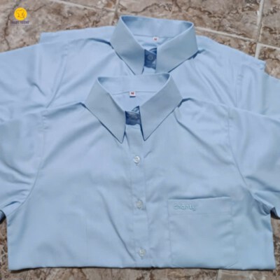 Short-Sleeve Button-Down Shirt