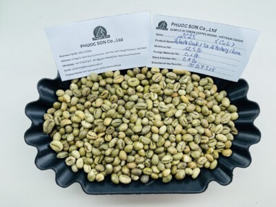 Lam Dong Robusta Peaberry Green Coffee Beans