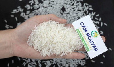 ST24 High-Grade Fragrant Rice