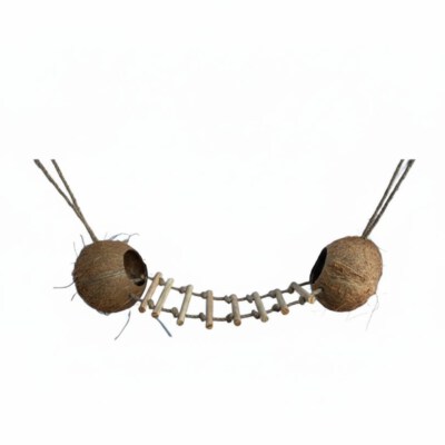 Handcrafted Coconut Shell Bird Nest Toy