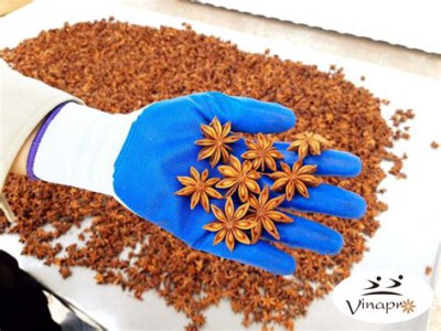 Autumn Whole Star Anise