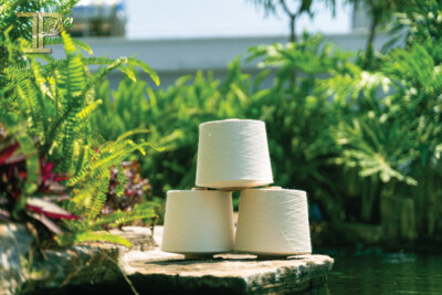 Vietnamese Cotton Ramie Yarn 20Nm