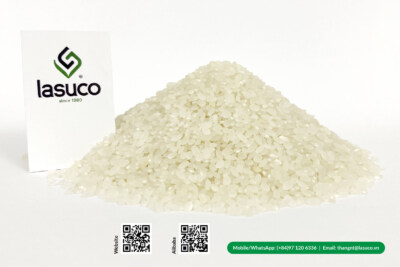 Japonica Round Grain Rice (Aromatic Short-Grain, 5% Broken, 14% Max Moisture, OEM Available)
