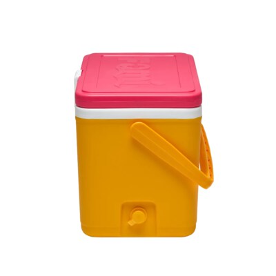 Insulated Cooler 26L (HDPE/PP Shell, PU Foam Insulation)