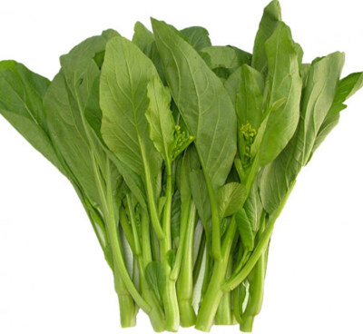 Rau cải thìa tươi