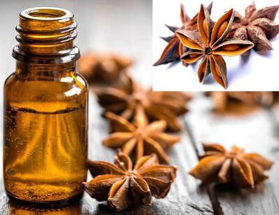 Vietnam Star Anise Essential Oil