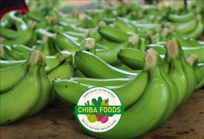 Vietnam LaBa Premium Bananas