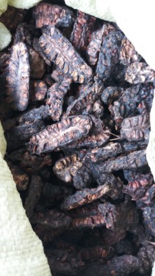 Vietnam Dried Noni Fruit