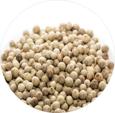 Export-Grade Whole White Peppercorns