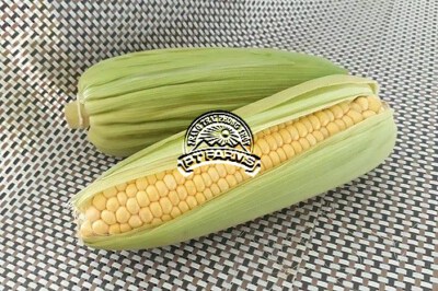 Organic Sweet Corn Ears
