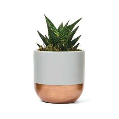 Modern Lightweight Concrete Flower Pot