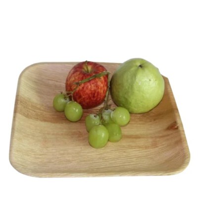 Square Areca Palm Plate (Biodegradable, Natural Areca Sheath, 25×25×2cm)