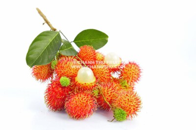 Rambutan – Thai Rambutan / Nhan Rambutan / Java Rambutan (Fresh)