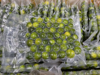 Chanh tự nhiên (Có hạt / Không hạt, Xuất xứ Việt Nam)