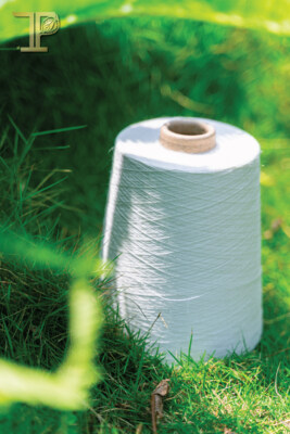 Vietnamese Ramie Yarn 36Nm High Twist