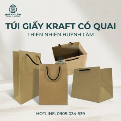 Kraft Paper Bags With Handles (160 Gsm, Eyelet + Cord Handle)