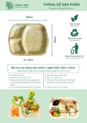 3-Compartment Areca Palm Meal Plate (Biodegradable, Natural Areca Sheath, 30×25×3cm)