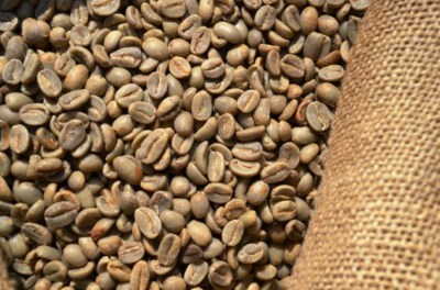 Cau Dat Fully Washed Arabica Screen 16 Green Coffee Beans