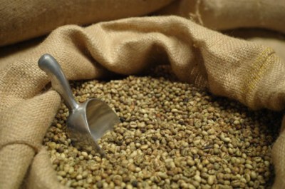 Dak Nong Culi Robusta Screen 18 Green Coffee Beans