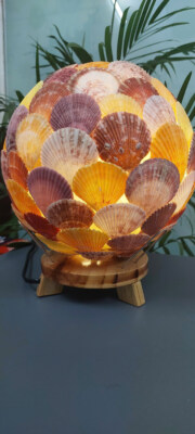 Round Scallop Shell Table Lamp