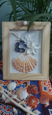 Shell Flower Frame 6