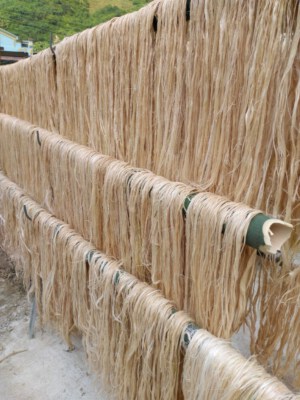 Raw Banana Fiber-Natural Fiber-ECOSOI