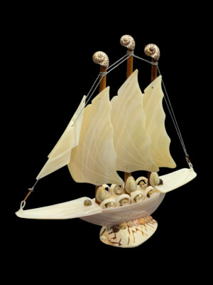 White Spiny Shell Sailboat Decor