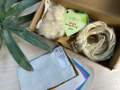 Mini Pineapple Fabric Set of ECOSOI