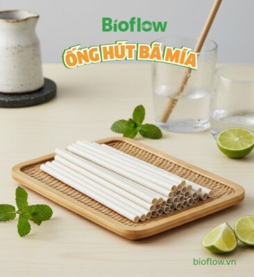 Sugarcane Straws