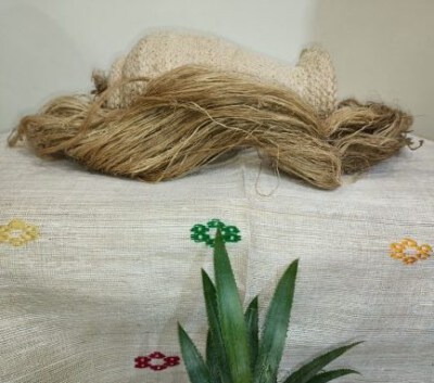 Raw Pineapple Fiber Q3 (not washed)-Natural Fiber-ECOSOI