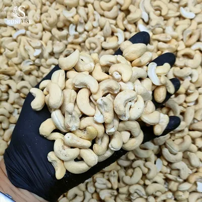 Cashew Kernel from Vietnam