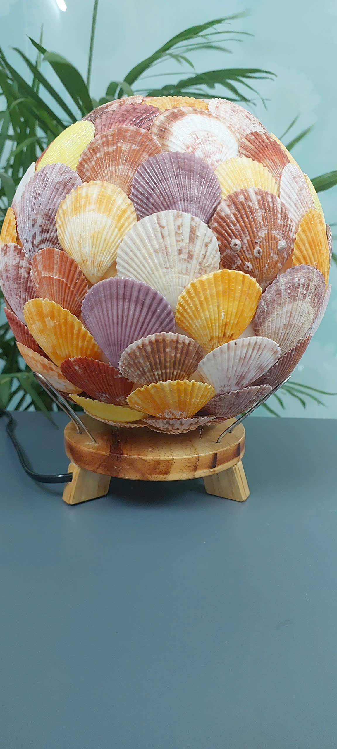Lamp Shelll Round Scallop Shell Table Lamp